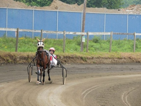 Full Card of Harness Races to be offered at the Tioga County Fair