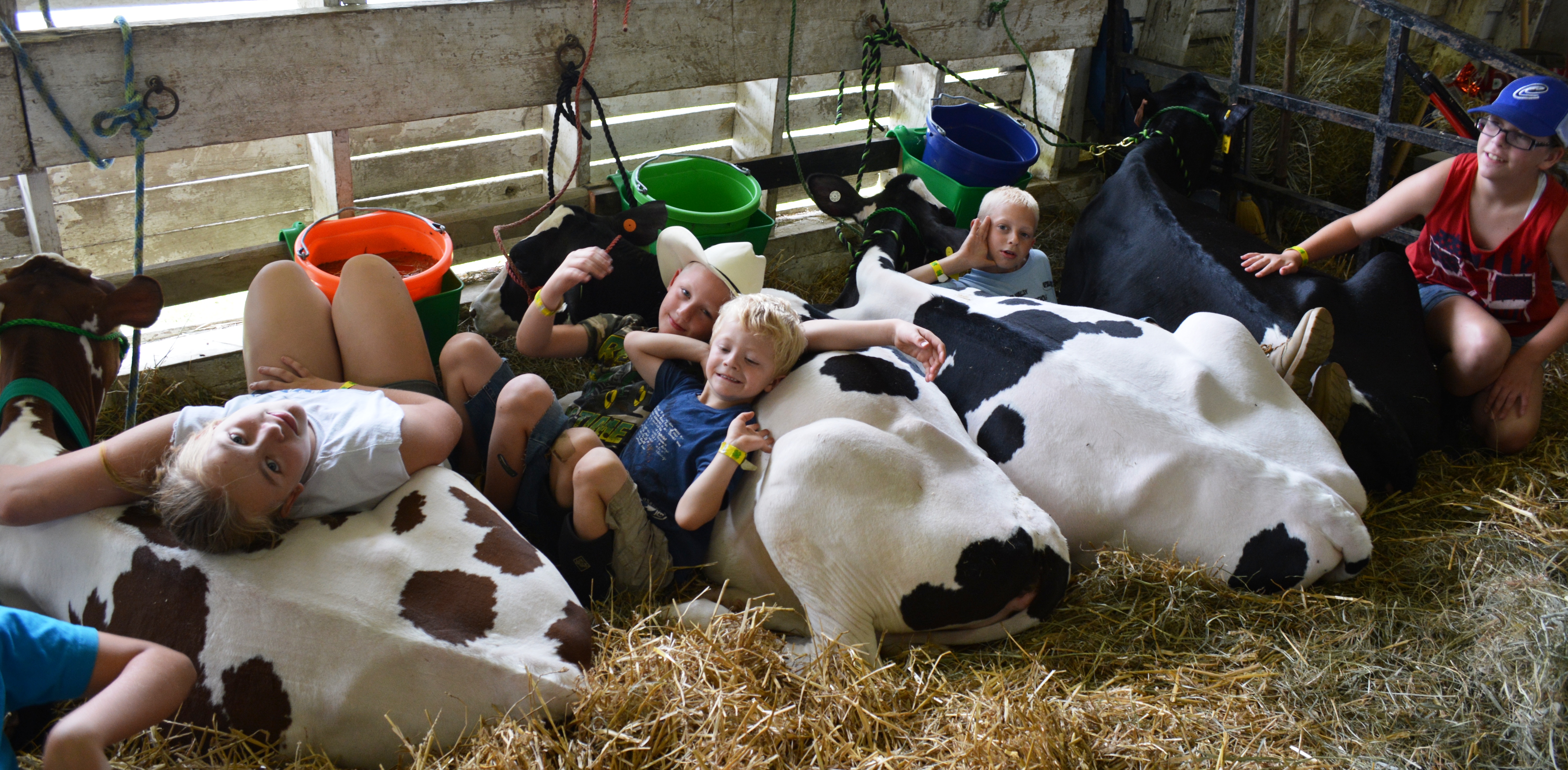Activities and animals abound during Kids’ Days at the Tioga County Fair!