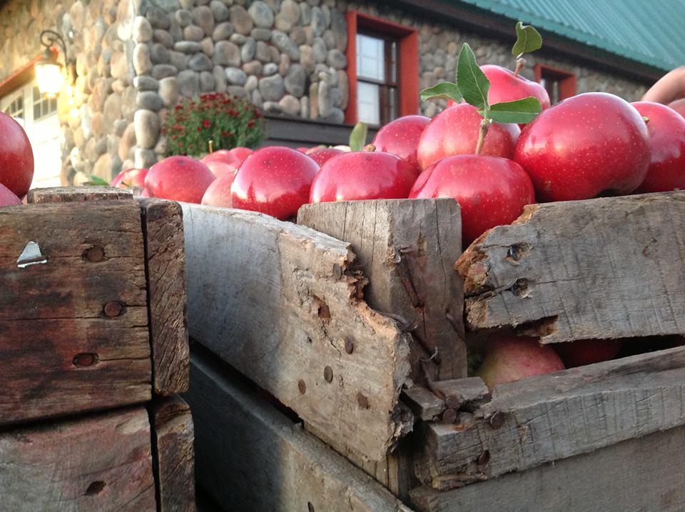 Applegate Orchards is Tioga County’s u-pick destination