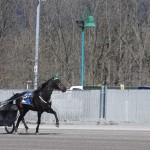 Tioga Downs opens 11th season of harness racing