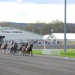 Tioga Downs opens 11th season of harness racing