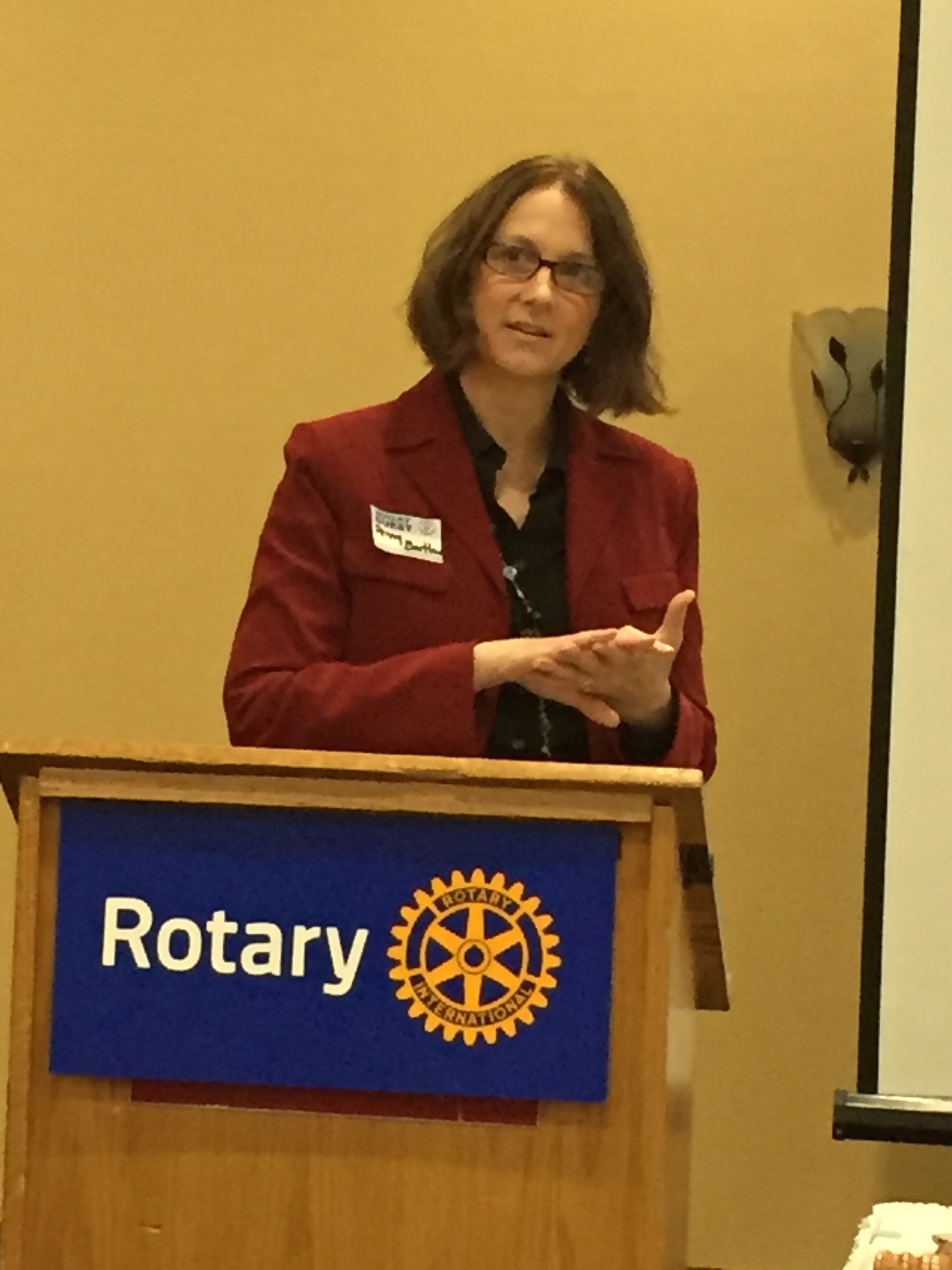 Rotary welcomes creator of Global Leadership Now as guest speaker