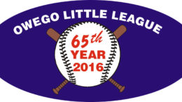 Owego Little League News Brief