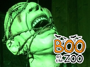 Have a hauntingly good time at the 25th annual Boo at the Zoo 