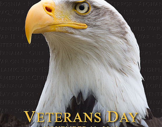Veterans Day honors all who served