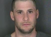 Waverly man pleads guilty to several burglary counts, will receive prison time