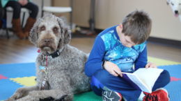 Therapy dog meet and greet to be held March 27