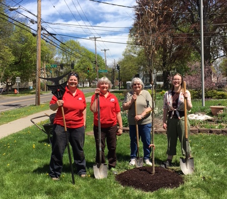 Tioga County Master Gardeners celebrate Arbor Day 2017