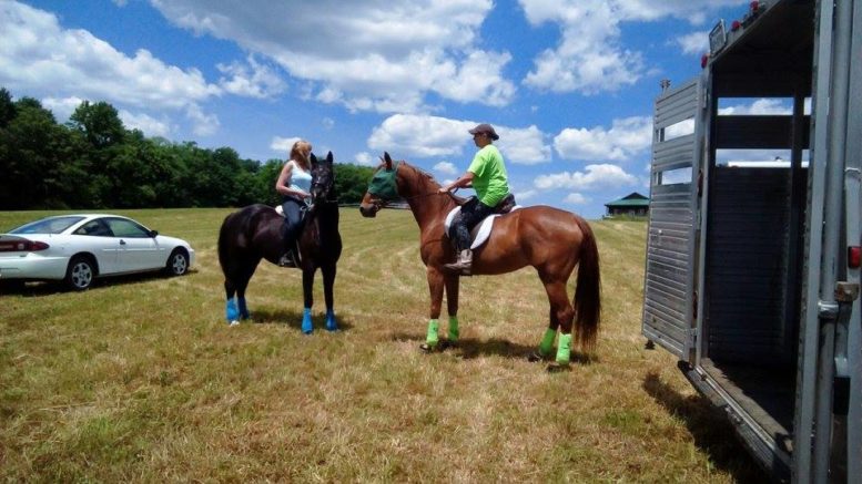 ‘Get your cowboy on’ at second annual equine poker run