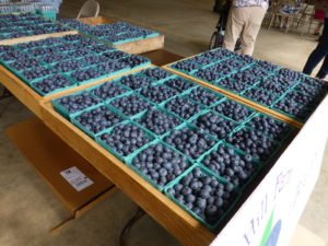 Berkshire’s Blueberry and Book Festival keeps growing