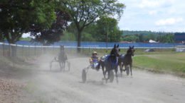 The Tioga County Fair begins this week!