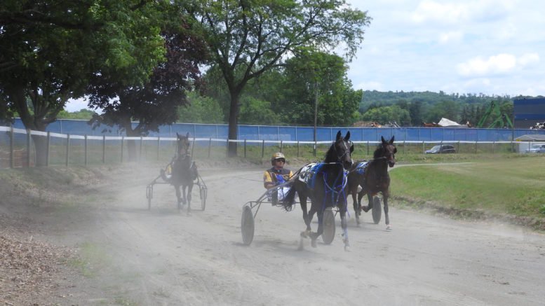 Harness Racing, the Sport that built the County Fair