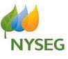 NYSEG and RG&E Smart Savings Rewards season underway