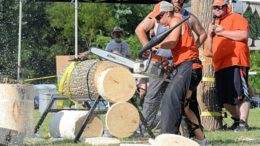 Lumberjack Competition at the Tioga County Fair