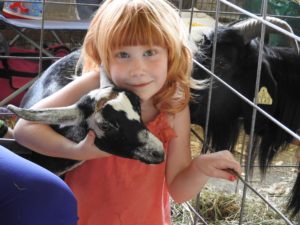 The Tioga County Fair is underway