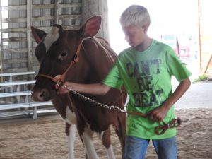 The Tioga County Fair is underway