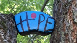 Rocks project brings people together to spread kindness  