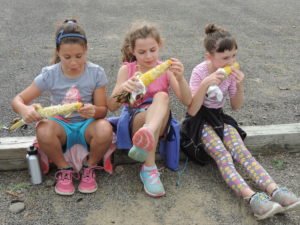 Tioga Central launches ‘NY Thursdays’ program
