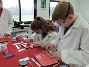 From STEM to STEAM, adding Agricultural education in the classroom