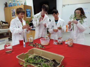 From STEM to STEAM, adding Agricultural education in the classroom