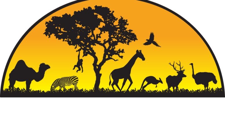 Animal Adventure Park to open doors in December for all-new ‘Jungle Bells’