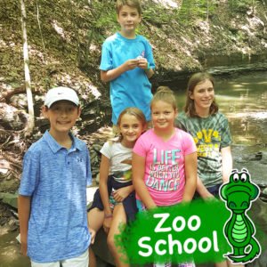 Spring Break and Summer Zoo School registration now open