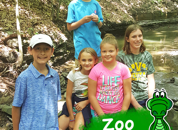 Spring Break and Summer Zoo School registration now open