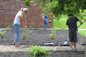 Middle School students revive school garden