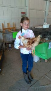 4-H at the Tioga County Fair