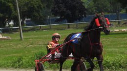 Harness Racing; the Sport that began at the County Fair