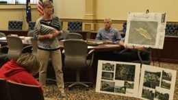 Developer presents Pelly Acres project