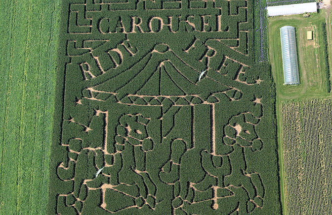 Stoughton Farm’s corn maze celebrates Broome County Carousels