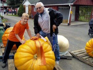 Another successful year for the 4-H Giant Pumpkin Club 