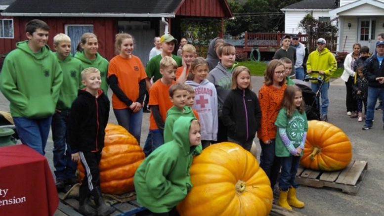 Another successful year for the 4-H Giant Pumpkin Club