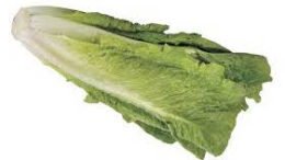 Governor urges New York residents to heed CDC food safely alert regarding romaine lettuce