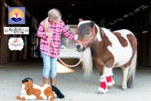 Holiday Photos with mini horses of Fargnoli Farms to benefit United Way and Kali’s Klubhouse