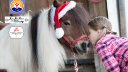 Holiday Photos with mini horses of Fargnoli Farms to benefit United Way and Kali’s Klubhouse