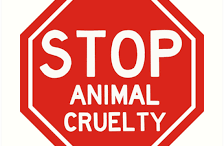 Barton residents charged with animal cruelty