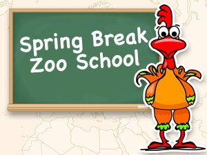 Spring Break Zoo School at the Binghamton Zoo