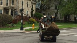 Rotary installs trees