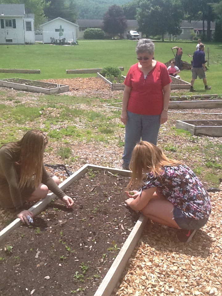 S-VE students and the Lions Club plant in the Community Garden