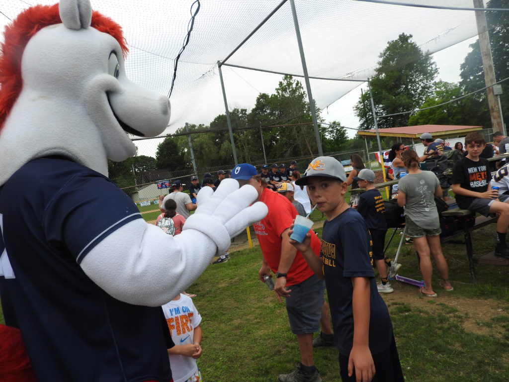 Little League Championship continues in Owego