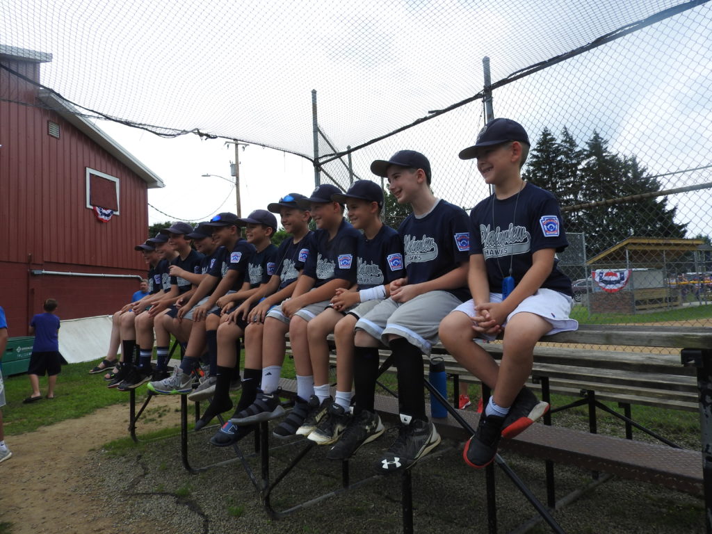 Little League Championship continues in Owego