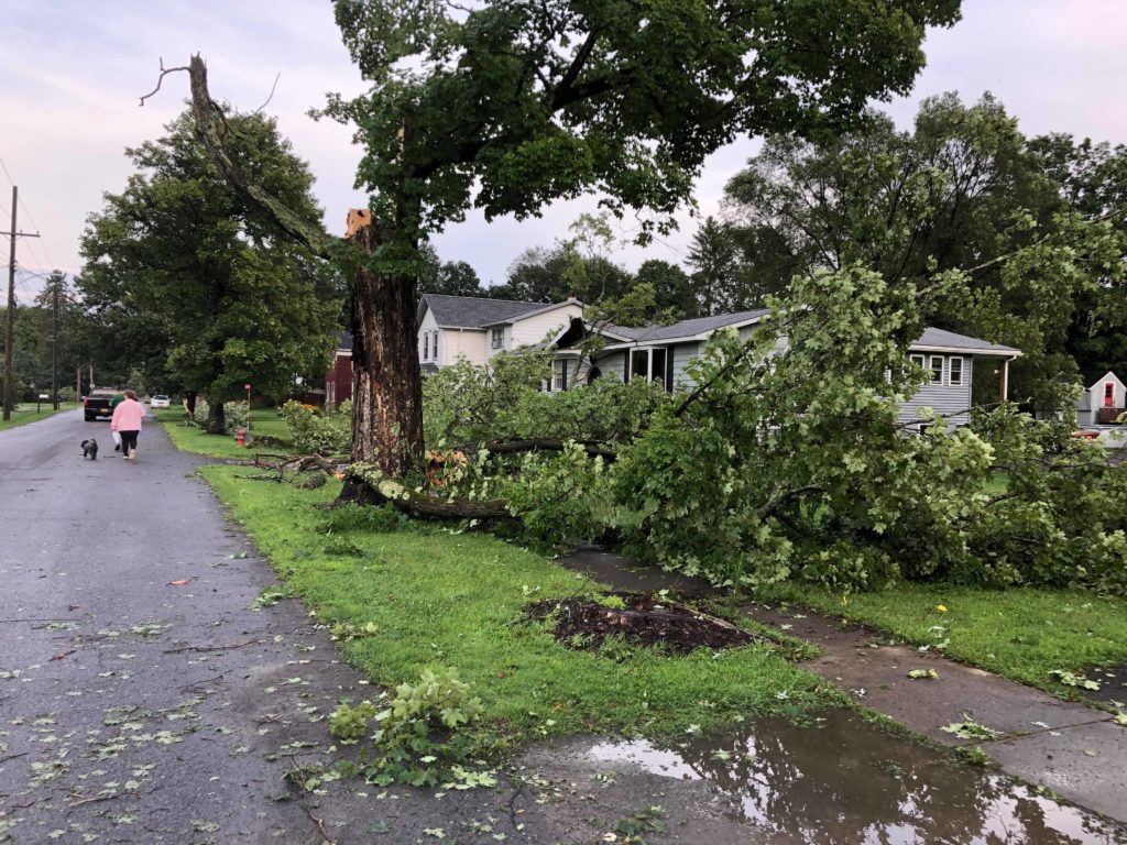 Storm leaves trail of destruction in downtown Candor; storm cell hits Newark Valley, too