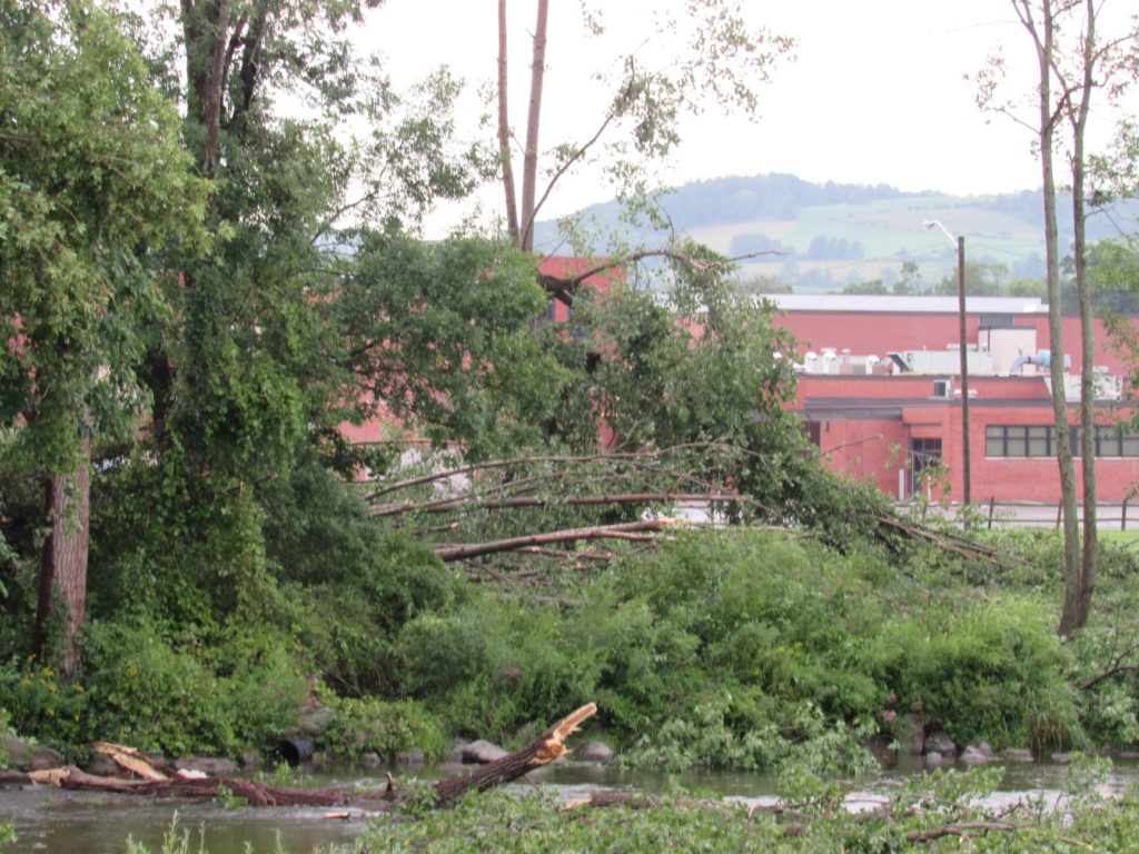 Storm leaves trail of destruction in downtown Candor