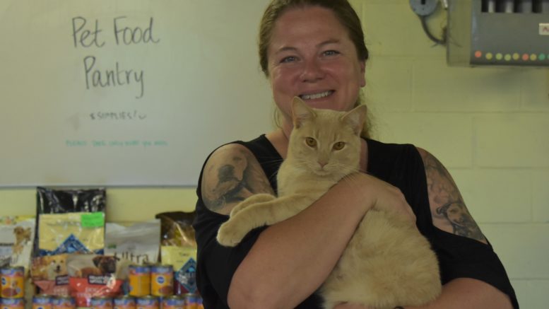 New Stray Haven Director hopes to improve animal welfare