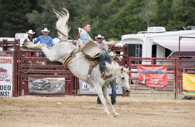 Painted Pony Rodeo at the Tioga County Fair