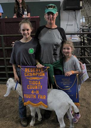 Tioga County 4-H Livestock Auction totals $34,251.60