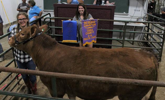 Tioga County 4-H Livestock Auction totals $34,251.60