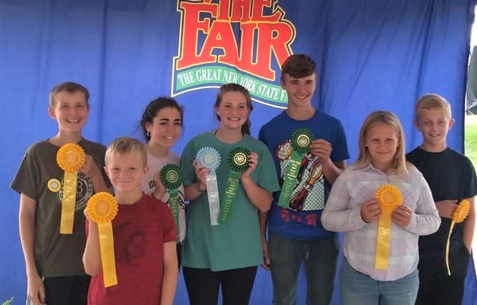 Tioga County 4-H members bring back top ribbons from New York State Fair 